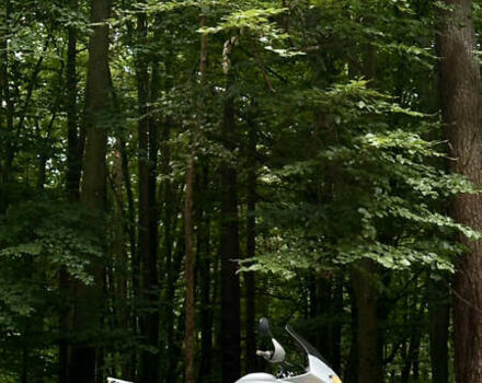 Хонда XL 650V Transalp 2001 в Львове на Automoto.ua Серый Хонда XL 650V Transalp, объемом двигателя 0.65 л и пробегом 68 тыс. км за 4600 $, фото 1 на Automoto.ua