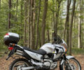 Хонда XL 650V Transalp 2001 в Львове на Automoto.ua Серый Хонда XL 650V Transalp, объемом двигателя 0.65 л и пробегом 68 тыс. км за 4600 $, фото 8 на Automoto.ua