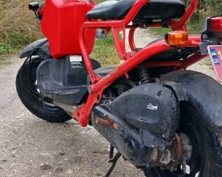 Хонда Зумер, объемом двигателя 49 л и пробегом 0 тыс. км за 700 $, фото 1 на Automoto.ua