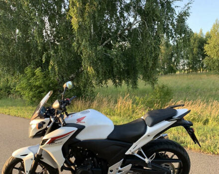 Хонда CB 400F, объемом двигателя 0.4 л и пробегом 22 тыс. км за 4299 $, фото 6 на Automoto.ua