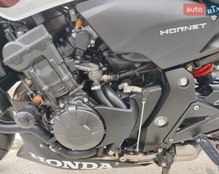 Хонда CB 600F Hornet, объемом двигателя 0.6 л и пробегом 39 тыс. км за 6499 $, фото 14 на Automoto.ua