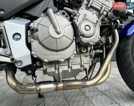 Синий Хонда CB 600F Hornet, объемом двигателя 0.6 л и пробегом 25 тыс. км за 3799 $, фото 7 на Automoto.ua