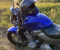 Синий Хонда CB 600F Hornet, объемом двигателя 0.6 л и пробегом 49 тыс. км за 4400 $, фото 2 на Automoto.ua