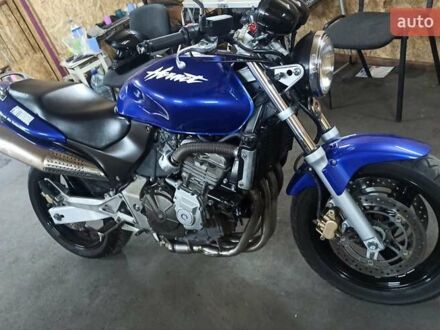 Хонда CB 600F Hornet 1999 в Днепре (Днепропетровске) на Automoto.ua Синий Хонда CB 600F Hornet, объемом двигателя 0.6 л и пробегом 54 тыс. км за 3600 $, фото 1 на Automoto.ua