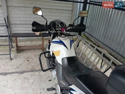 Хонда CBF 125 2012 в Львове на Automoto.ua Белый Хонда CBF 125, объемом двигателя 0 л и пробегом 29 тыс. км за 1300 $, фото 1 на Automoto.ua