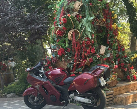 Червоний Хонда CBR 1100XX Blackbird, об'ємом двигуна 1.1 л та пробігом 74 тис. км за 6000 $, фото 7 на Automoto.ua