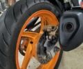 Помаранчевий Хонда CBR 250R, об'ємом двигуна 0.25 л та пробігом 31 тис. км за 3100 $, фото 7 на Automoto.ua
