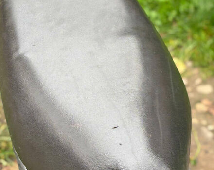 Черный Хонда Dio AF-18, объемом двигателя 0 л и пробегом 20 тыс. км за 110 $, фото 2 на Automoto.ua