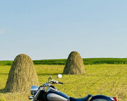 Синий Хонда VT 750 Shadow, объемом двигателя 0.75 л и пробегом 60 тыс. км за 5000 $, фото 8 на Automoto.ua