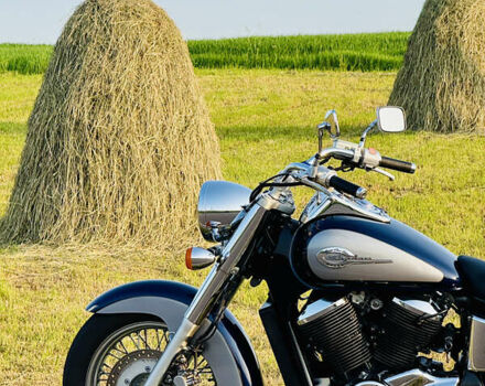 Синий Хонда VT 750 Shadow, объемом двигателя 0.75 л и пробегом 60 тыс. км за 5000 $, фото 9 на Automoto.ua