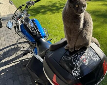 Синий Хонда VT 750C, объемом двигателя 0.75 л и пробегом 12 тыс. км за 6950 $, фото 7 на Automoto.ua