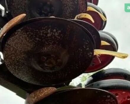 Хорш Пронто, объемом двигателя 0 л и пробегом 0 тыс. км за 42330 $, фото 6 на Automoto.ua