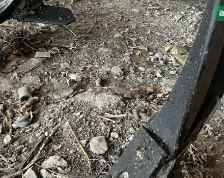 Хорш Тигр, объемом двигателя 0 л и пробегом 0 тыс. км за 20000 $, фото 5 на Automoto.ua