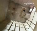 Красный Хорш Другая, объемом двигателя 0 л и пробегом 0 тыс. км за 87455 $, фото 29 на Automoto.ua