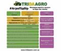 Хорш Другая, об'ємом двигуна 0 л та пробігом 0 тис. км за 25169 $, фото 1 на Automoto.ua