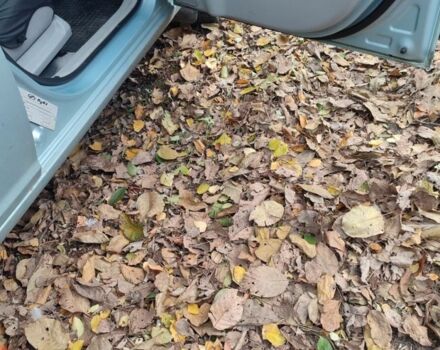 Синий Хендай Акцент, объемом двигателя 1.4 л и пробегом 239 тыс. км за 4100 $, фото 4 на Automoto.ua