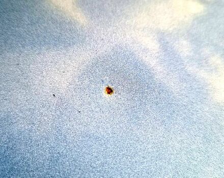 Серый Хендай Элантра, объемом двигателя 1.6 л и пробегом 194 тыс. км за 5500 $, фото 8 на Automoto.ua