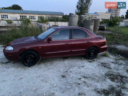 Хендай Лантра 1999 в Львове на Automoto.ua Красный Хендай Лантра, объемом двигателя 1.6 л и пробегом 348 тыс. км за 1500 $, фото 1 на Automoto.ua