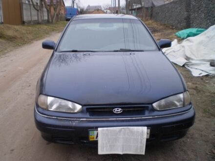 Хендай Лантра 1994 в Бердичеве на Automoto.ua Синий Хендай Лантра, объемом двигателя 1.5 л и пробегом 3 тыс. км за 89000 $, фото 1 на Automoto.ua