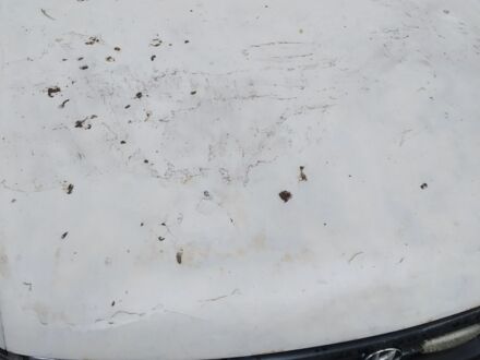 Хендай Пони 1994 в Кривом Роге на Automoto.ua Белый Хендай Пони, объемом двигателя 1.5 л и пробегом 100 тыс. км за 1000 $, фото 1 на Automoto.ua