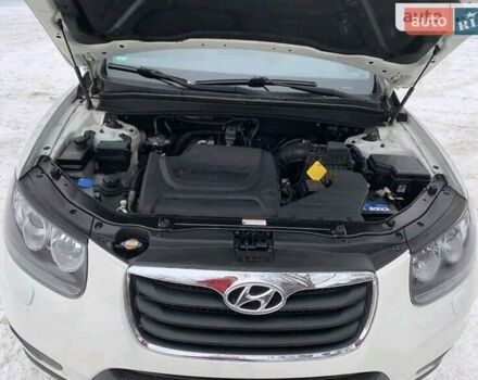 Білий Хендай Санта Фе, об'ємом двигуна 2.2 л та пробігом 201 тис. км за 13300 $, фото 3 на Automoto.ua