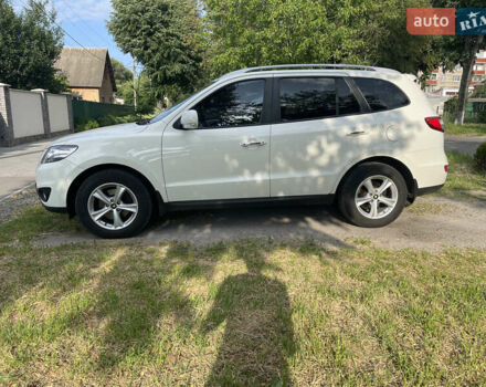 Хендай Санта Фе 2011 в Виннице на Automoto.ua Белый Хендай Санта Фе, объемом двигателя 2.2 л и пробегом 285 тыс. км за 13200 $, фото 2 на Automoto.ua