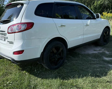 Хендай Санта Фе 2011 в Кременце на Automoto.ua Белый Хендай Санта Фе, объемом двигателя 2.2 л и пробегом 263 тыс. км за 12600 $, фото 4 на Automoto.ua