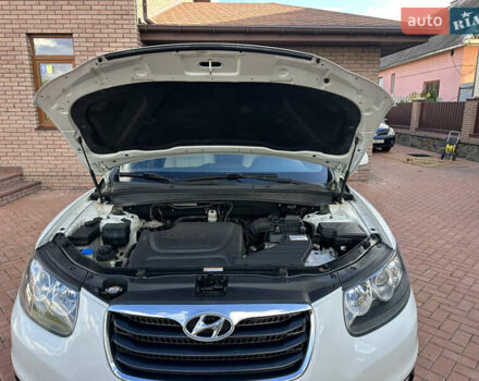 Хендай Санта Фе 2011 у Умани на Automoto.ua Білий Хендай Санта Фе, об'ємом двигуна 2.2 л та пробігом 147 тис. км за 14000 $, фото 33 на Automoto.ua
