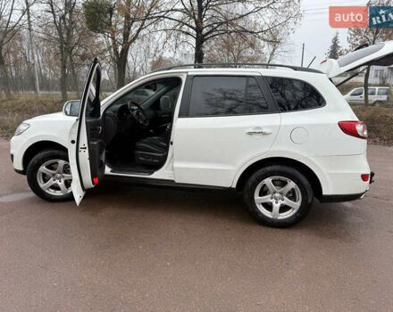 Білий Хендай Санта Фе, об'ємом двигуна 2.2 л та пробігом 236 тис. км за 13500 $, фото 3 на Automoto.ua