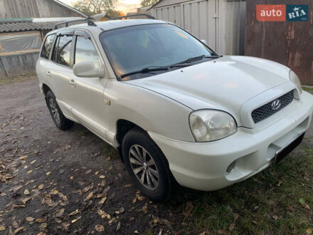Хендай Санта Фе 2001 у Луцьку на Automoto.ua Білий Хендай Санта Фе, об'ємом двигуна 2.66 л та пробігом 315 тис. км за 4500 $, фото 1 на Automoto.ua