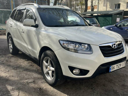 Хендай Санта Фе 2010 в Ровно на Automoto.ua Белый Хендай Санта Фе, объемом двигателя 2.2 л и пробегом 233 тыс. км за 12300 $, фото 1 на Automoto.ua