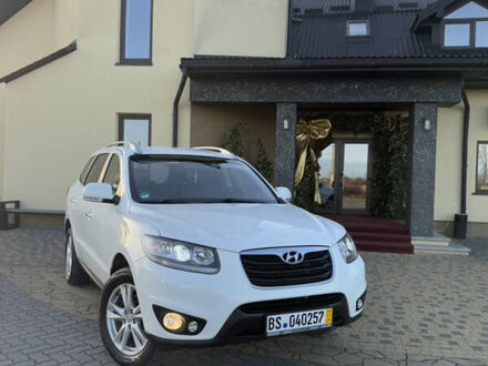 Белый Хендай Санта Фе, объемом двигателя 2.2 л и пробегом 183 тыс. км за 13500 $, фото 1 на Automoto.ua