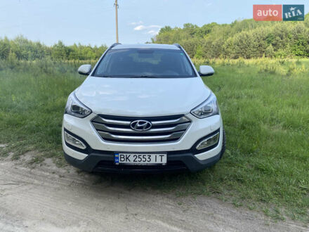 Хендай Санта Фе 2014 в Ровно на Automoto.ua Белый Хендай Санта Фе, объемом двигателя 2.2 л и пробегом 135 тыс. км за 19750 $, фото 1 на Automoto.ua