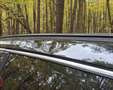 Хендай Санта Фе 2014 в Житомире на Automoto.ua Черный Хендай Санта Фе, объемом двигателя 2.2 л и пробегом 94 тыс. км за 19000 $, фото 41 на Automoto.ua