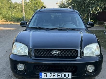 Хендай Санта Фе 2001 в Петропавловке на Automoto.ua Черный Хендай Санта Фе, объемом двигателя 2.7 л и пробегом 255 тыс. км за 3100 $, фото 1 на Automoto.ua