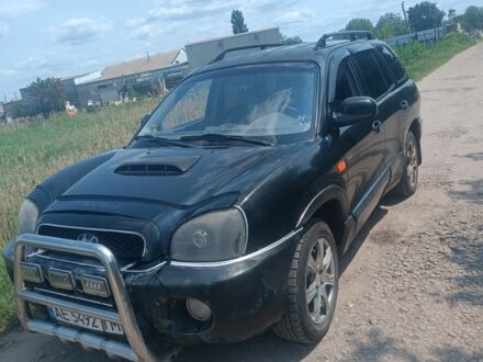Хендай Санта Фе 2003 в Новом Буге на Automoto.ua Черный Хендай Санта Фе, объемом двигателя 2 л и пробегом 265 тыс. км за 4050 $, фото 1 на Automoto.ua