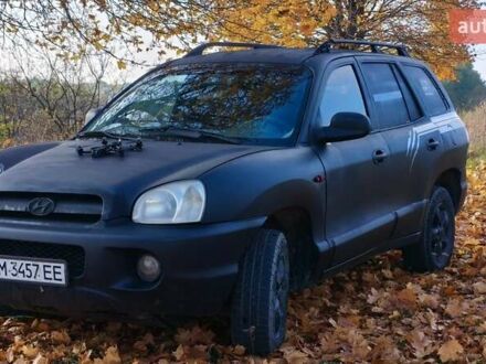 Хендай Санта Фе 2004 в Изяслве на Automoto.ua Черный Хендай Санта Фе, объемом двигателя 2 л и пробегом 306 тыс. км за 4199 $, фото 1 на Automoto.ua