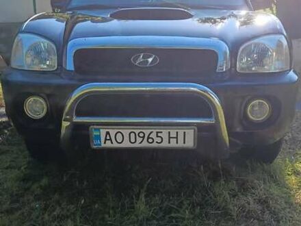 Хендай Санта Фе 2004 в Мукачеве на Automoto.ua Черный Хендай Санта Фе, объемом двигателя 1.99 л и пробегом 318 тыс. км за 7500 $, фото 1 на Automoto.ua