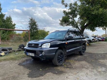 Хендай Санта Фе 2004 у Кропивницькому (Кіровограді) на Automoto.ua Чорний Хендай Санта Фе, об'ємом двигуна 2 л та пробігом 200 тис. км за 3200 $, фото 1 на Automoto.ua