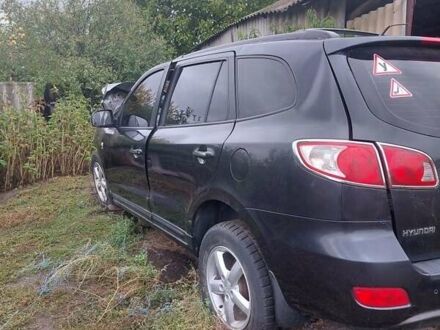 Хендай Санта Фе 2008 в Кропивницком (Кировограде) на Automoto.ua Черный Хендай Санта Фе, объемом двигателя 2.2 л и пробегом 280 тыс. км за 1800 $, фото 1 на Automoto.ua