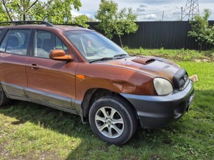 Хендай Санта Фе 2002 в Хусте на Automoto.ua Коричневый Хендай Санта Фе, объемом двигателя 2 л и пробегом 267 тыс. км за 3000 $, фото 1 на Automoto.ua