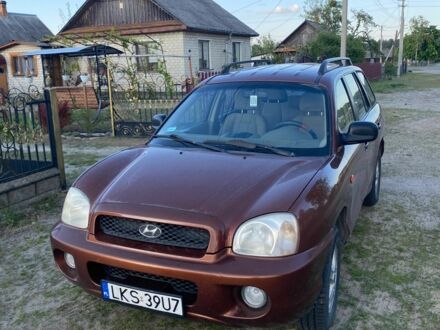 Хендай Санта Фе 2002 в Дубровице на Automoto.ua Коричневый Хендай Санта Фе, объемом двигателя 2 л и пробегом 260 тыс. км за 3750 $, фото 1 на Automoto.ua