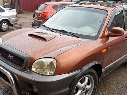 Хендай Санта Фе 2003 в Прилуках на Automoto.ua Коричневый Хендай Санта Фе, объемом двигателя 2 л и пробегом 375 тыс. км за 6350 $, фото 1 на Automoto.ua