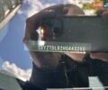 Серый Хендай Санта Фе, объемом двигателя 2.4 л и пробегом 144 тыс. км за 15000 $, фото 41 на Automoto.ua