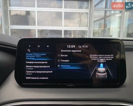 Серый Хендай Санта Фе, объемом двигателя 2.15 л и пробегом 34 тыс. км за 38500 $, фото 34 на Automoto.ua