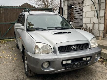 Хендай Санта Фе 2001 в Вышгороде на Automoto.ua Серый Хендай Санта Фе, объемом двигателя 2 л и пробегом 272 тыс. км за 2800 $, фото 1 на Automoto.ua