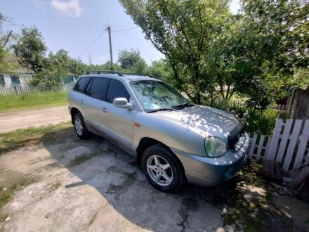 Хендай Санта Фе 2005 у Житомирі на Automoto.ua Сірий Хендай Санта Фе, об'ємом двигуна 2.4 л та пробігом 224 тис. км за 5900 $, фото 1 на Automoto.ua