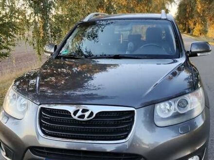 Хендай Санта Фе 2010 в Нежине на Automoto.ua Серый Хендай Санта Фе, объемом двигателя 2.2 л и пробегом 222 тыс. км за 12500 $, фото 1 на Automoto.ua