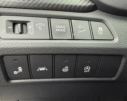 Синій Хендай Санта Фе, об'ємом двигуна 2 л та пробігом 182 тис. км за 21999 $, фото 68 на Automoto.ua