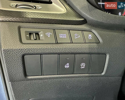 Синій Хендай Санта Фе, об'ємом двигуна 2 л та пробігом 181 тис. км за 20500 $, фото 23 на Automoto.ua